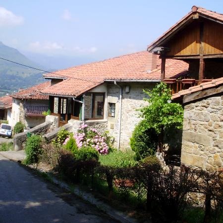 Ver imagen más grande